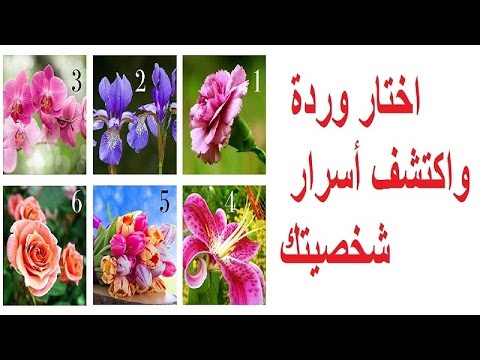 اكتشف أسرار شخصيتك من خلال وردة